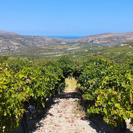 Vitsilias Under The Cretan Sky *